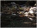 2008-7-2 下午 02-42-57---太平溪東源4.jpg